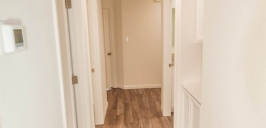 4206 Gabbro Court