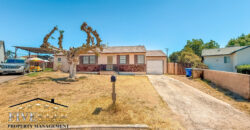 4520 Mesa Drive