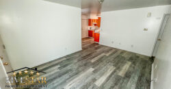 618 Spring Mwadow Court Apt 1